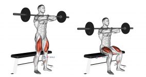 Barbell Bench Front Squat thighs