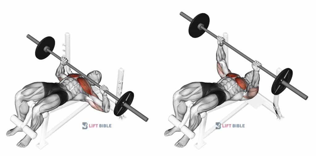 How to Barbell Decline Bench Press