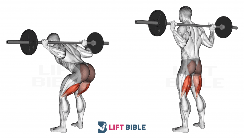 How To Perform Barbell Good Mornings With Perfect Form How To Perform Barbell Good Mornings With Perfect Form