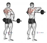 Barbell Upright Row