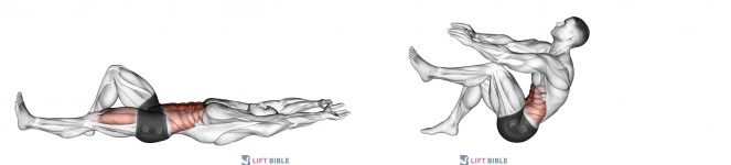 Flexion Leg Sit up (bent knee)