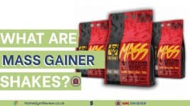 What is Mass Gainer
