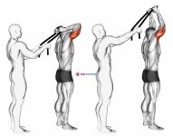 Assisted Standing Triceps Extension (with towel)