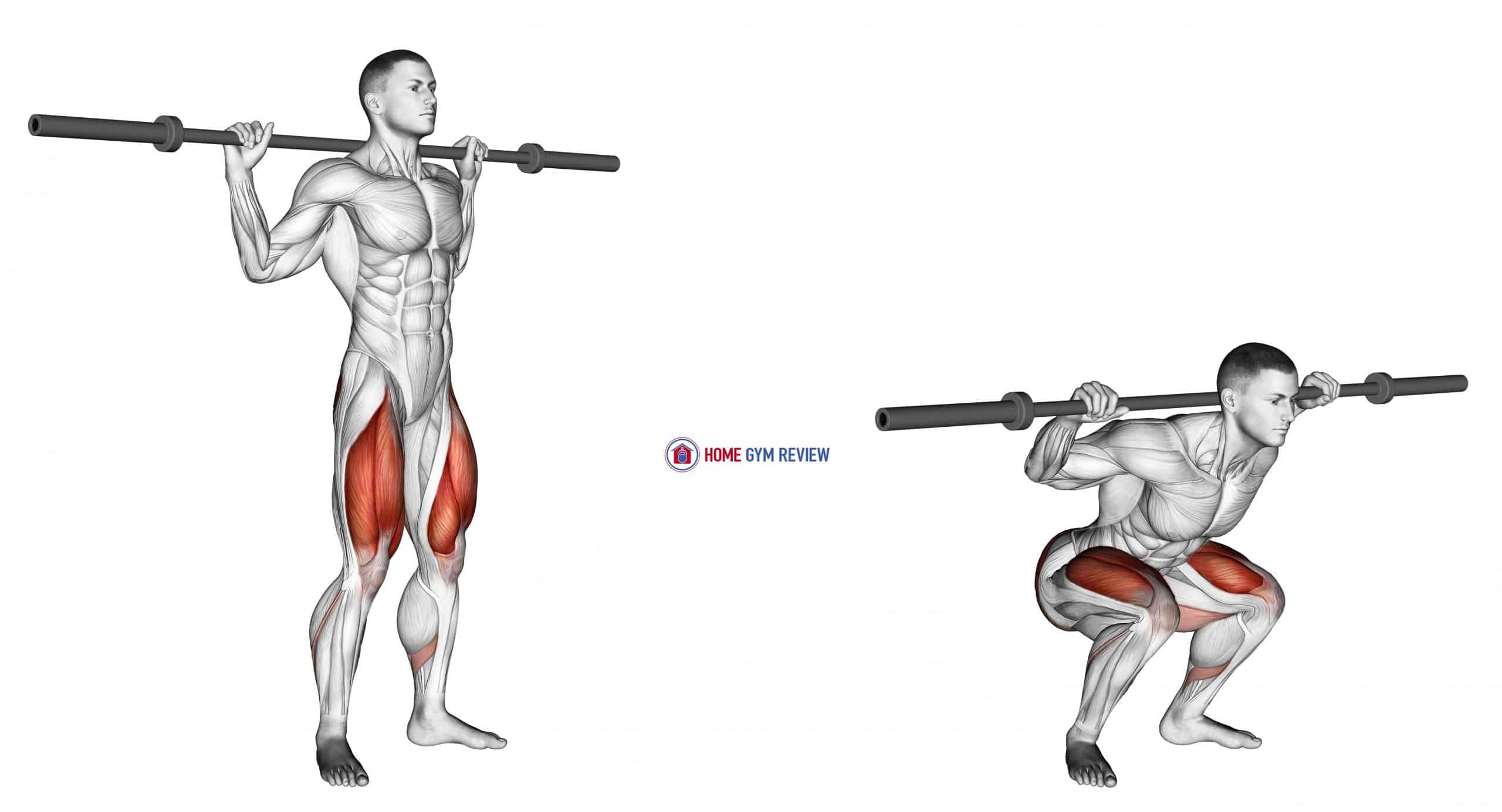 Barbell Full Squat Home Gym Review Barbell Full Squat Home Gym Review