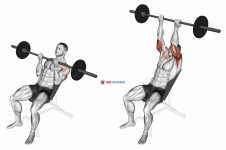 Barbell Incline Reverse-grip Press
