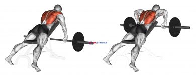 Barbell Incline Row
