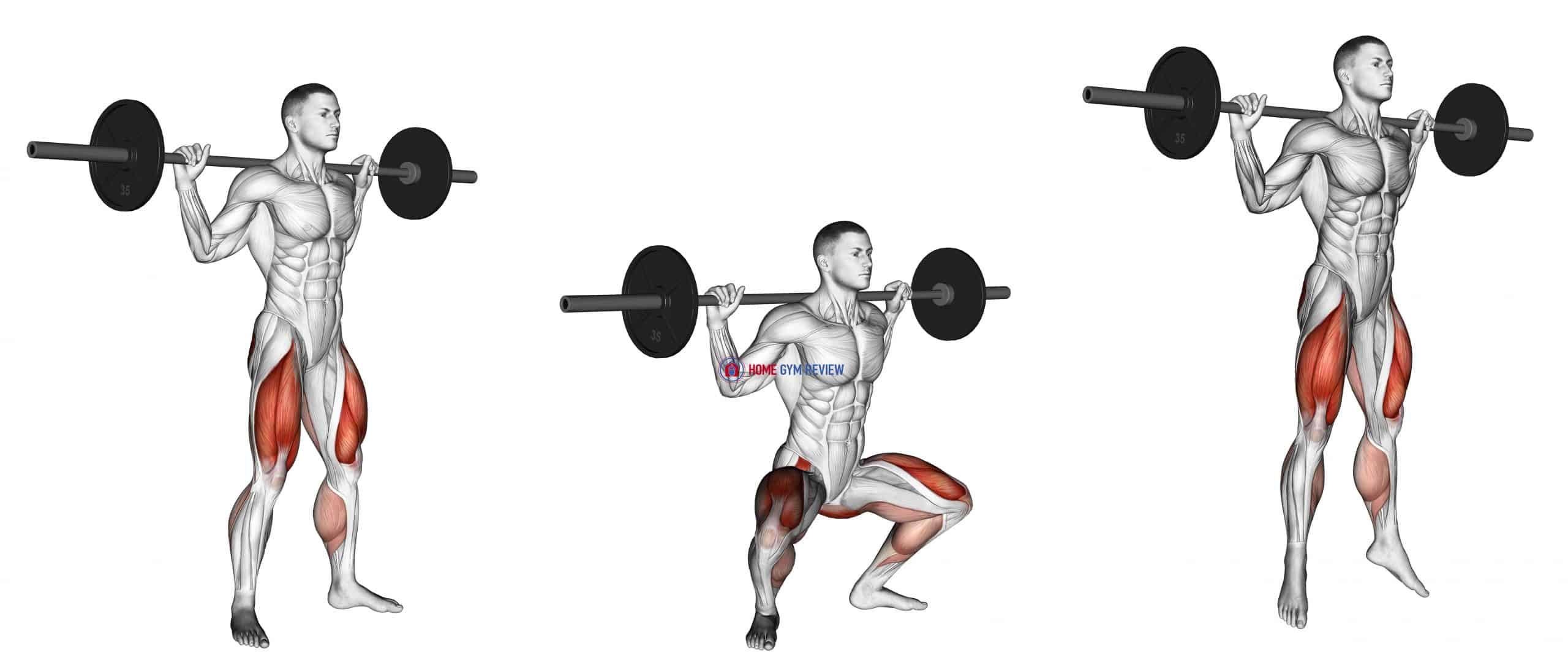 Barbell Jump Squat Home Gym Review