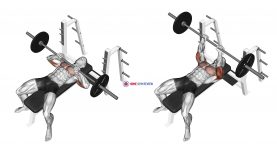Barbell Lying Close-grip Press