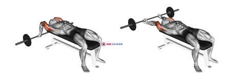 Barbell Lying Close-grip Triceps Extension