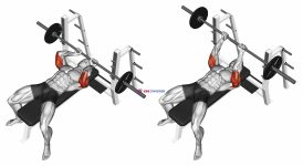 Barbell Lying extension