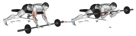 Barbell Lying Preacher Curl