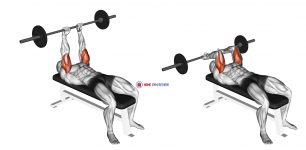 Barbell Lying Triceps Extension