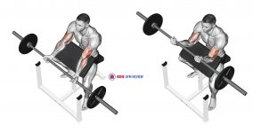 Barbell Preacher Curl