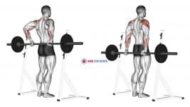 Barbell Rear Delt Raise