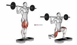 Barbell Rear Lunge (version 2)