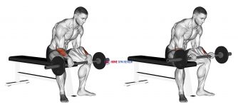 Barbell Revers Wrist Curl (version 2)