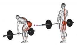 Barbell Romanian Deadlift