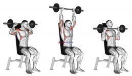 Barbell Seated Bradford Rocky Press