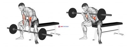 Barbell Seated Close-grip Concentration Curl