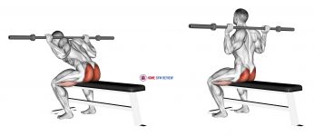 Barbell Seated Good morning