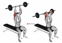 Barbell Seated Overhead Triceps Extension