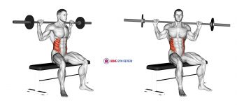 Barbell Seated Twist