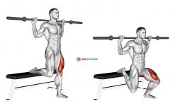 Barbell Single Leg Split Squat