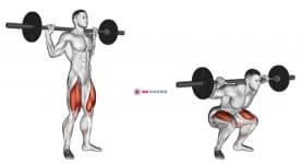 Barbell Speed Squat