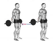 Barbell Standing Back Wrist Curl