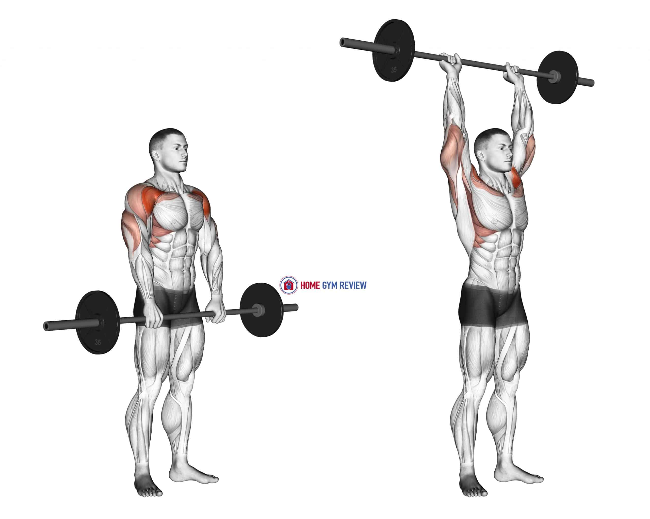 Barbell Standing Front Raise Over Head