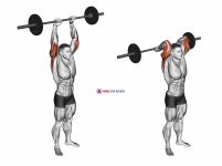 Barbell Standing Overhead Triceps Extension