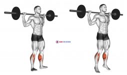 Barbell Standing Rocking Leg Calf Raise