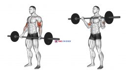 Barbell Standing Wide-grip Curl
