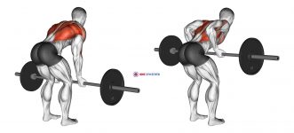 Barbell Reverse Grip Bent over Row