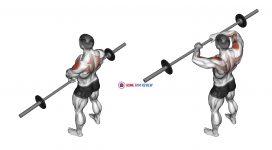 Barbell Upright Row (version 2)