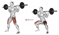 Barbell Wide Squat