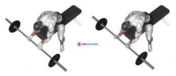Barbell Wrist Curl