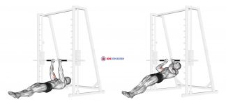 Brachialis Narrow Pull-ups