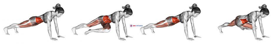 Bridge - Mountain Climber (Cross Body) (female)