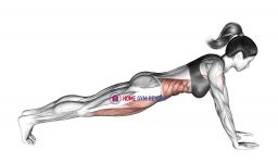 Bridge (straight arm)