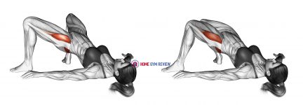 Bridge Hip Abduction