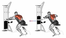 Cable Decline Seated Wide-grip Row