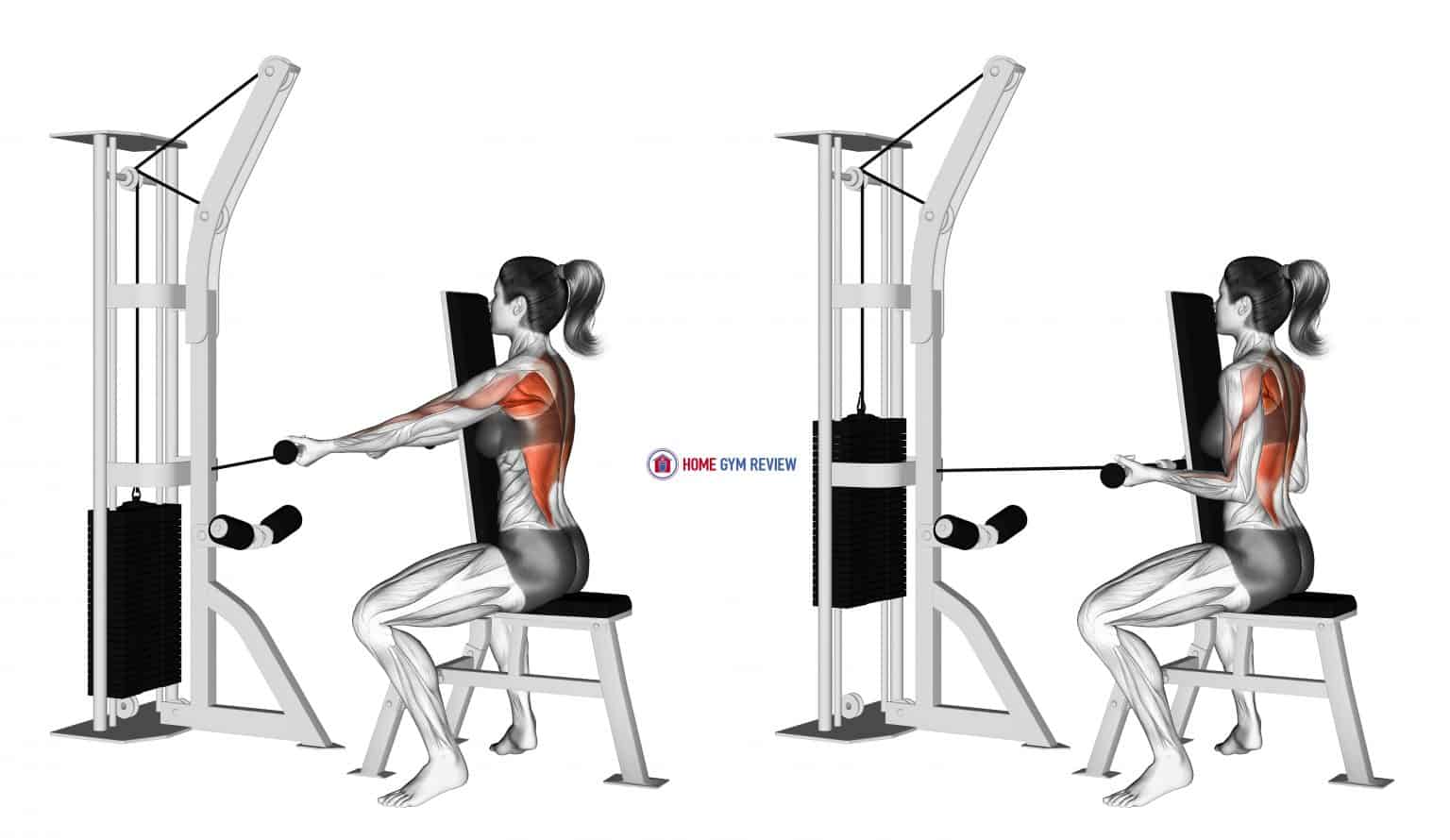 Cable Front Seated Row Home Gym Review Cable Front Seated Row Home Gym Review