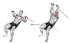 Cable Incline Bench Press