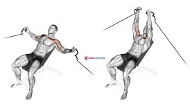 Cable Incline Fly