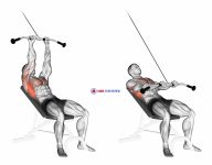 Cable Incline Pushdown