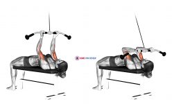 Cable Lying Close-grip Curl