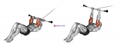 Cable Lying Triceps Extension (version 2)