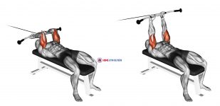 Cable Lying Triceps Extension