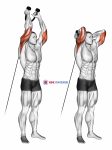 Cable Overhead Triceps Extension (rope attachment)